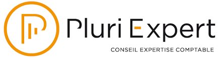 Logo pluri expert