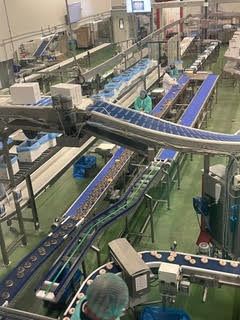 Lire la suite à propos de l’article MegaNews N°87